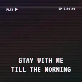VHS Lo-fi lyric video style