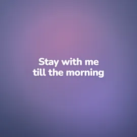 Soft Gradient Lyrics lyric video style